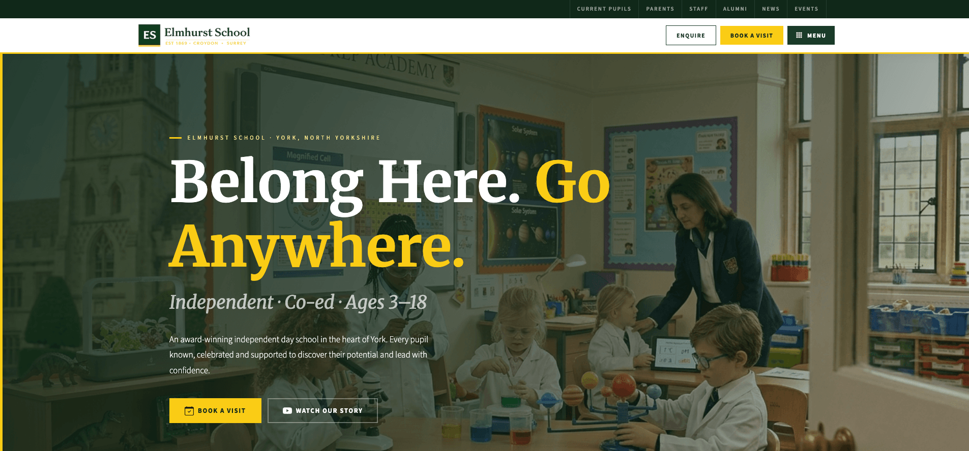 Website template preview